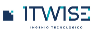 ITWISE